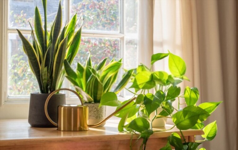 Ways To Give Your Kitchen An 80’s-Inspired Upgrade! Ways To Give Your Kitchen An 80’s-Inspired Upgrade!