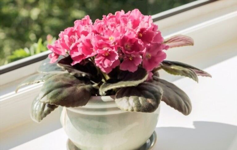 Ways To Give Your Kitchen An 80’s-Inspired Upgrade! Ways To Give Your Kitchen An 80’s-Inspired Upgrade!