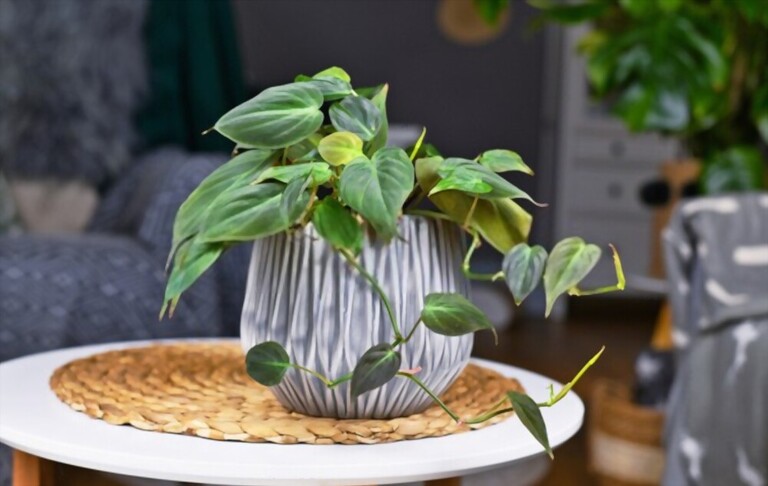 Ways To Give Your Kitchen An 80’s-Inspired Upgrade! Ways To Give Your Kitchen An 80’s-Inspired Upgrade!