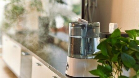 Best Cool Mist Humidifier For Large Rooms of 2025: Top 6 Picks