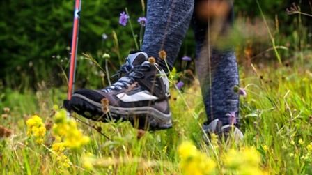 6 Best Lightweight Safety Shoes of 2025 6 Best Lightweight Safety Shoes of 2025