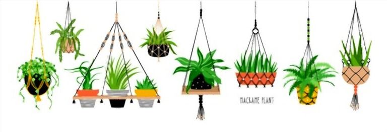 Decorating With Greenery Ideas - Tips For First-time Homeowners Decorating With Greenery Ideas - Tips For First-time Homeowners