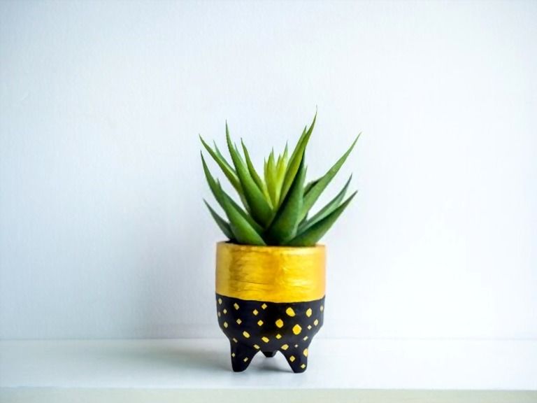 Decorating With Greenery Ideas - Tips For First-time Homeowners