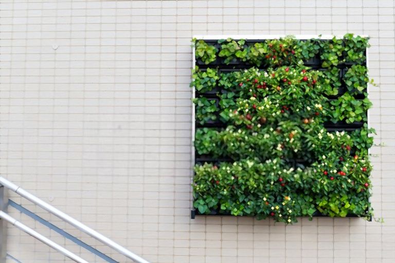 Decorating With Greenery Ideas - Tips For First-time Homeowners Decorating With Greenery Ideas - Tips For First-time Homeowners