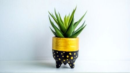 Decorating With Greenery Ideas - Tips For First-time Homeowners