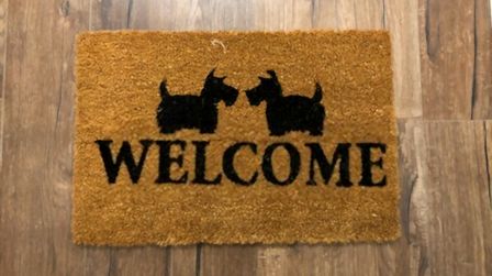 6 Best Doormats For Dogs of 2025