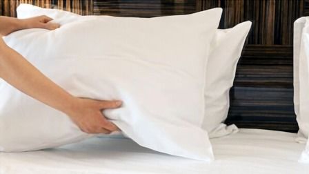 Best Cooling Pillow For Side Sleepers of 2026: Top 7 Picks