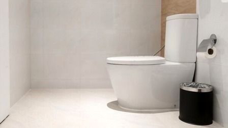 7 Most Comfortable Toilet Seats of 2026