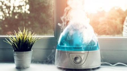 6 Best Humidifiers For Bedroom of 2026