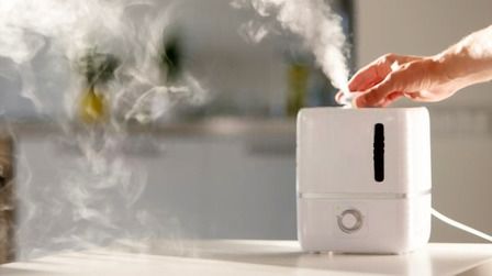 6 Best Humidifiers For Allergies of 2025