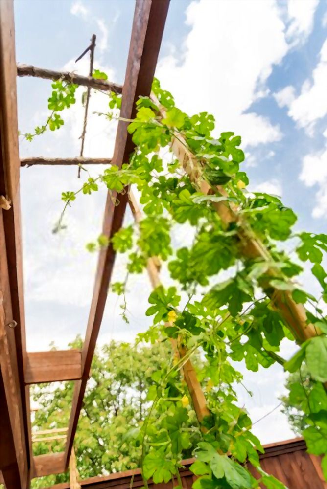 Simple Small Backyard Landscaping Ideas