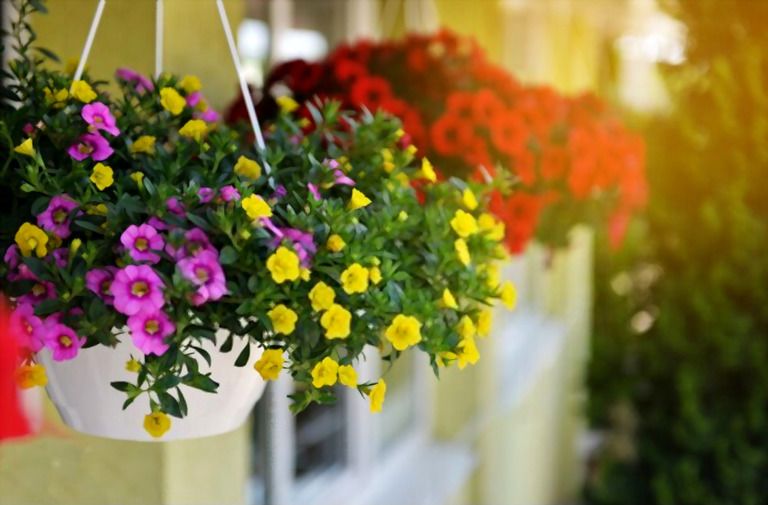 Simple Small Backyard Landscaping Ideas Simple Small Backyard Landscaping Ideas