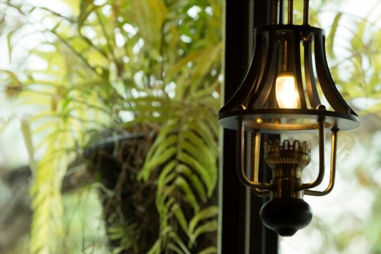 Types Of Outdoor Light Bulbs & Their Uses Types Of Outdoor Light Bulbs & Their Uses