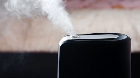 6 Best Humidifiers For Sinus Problems of 2025