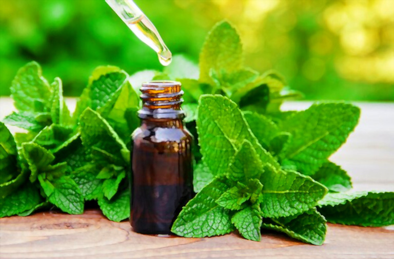 What Is The Best Scent For A Bedroom? What Is The Best Scent For A Bedroom?