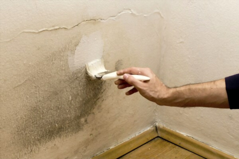 How To Remove Mold From Painted Walls? How To Remove Mold From Painted Walls?