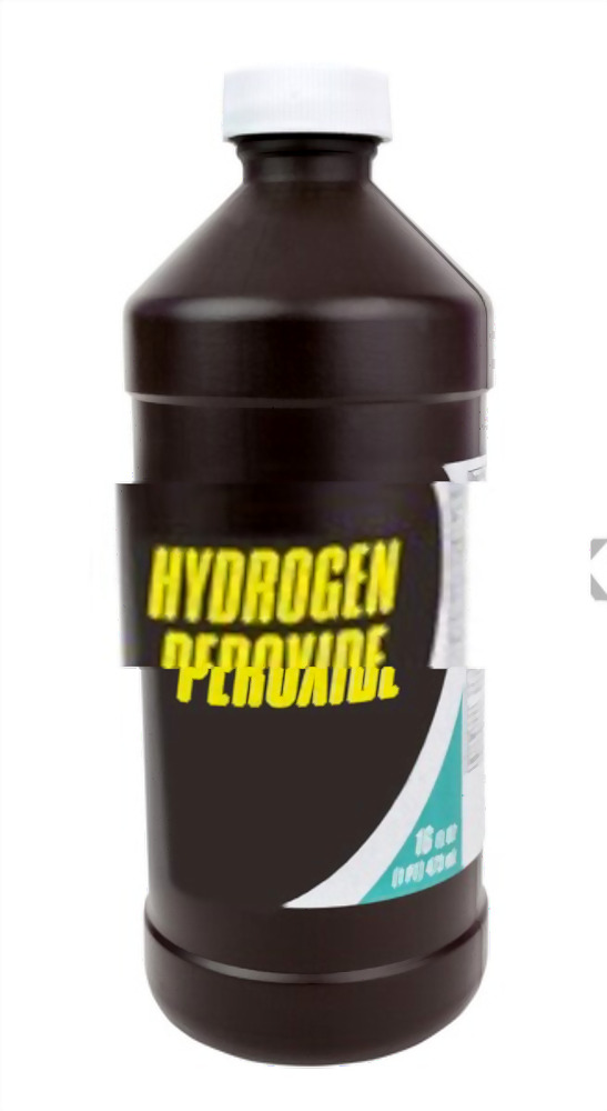 How To Remove Mold From Painted Walls? How To Remove Mold From Painted Walls?