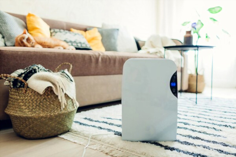 How To Lower Humidity In The House? How To Lower Humidity In The House?