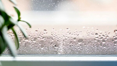 How To Lower Humidity In The House?