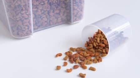 7 Best Airtight Dog Food Containers of 2025