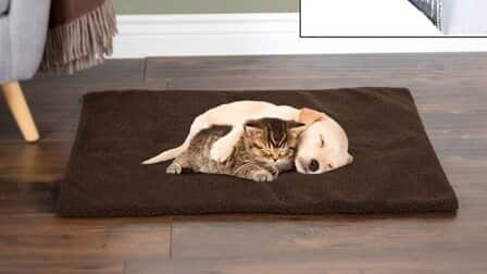 Best Heating Pad For Puppies of 2026: Top 6 Picks