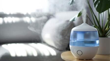 Best Small Humidifier For Plants of 2025: Top 6 Picks