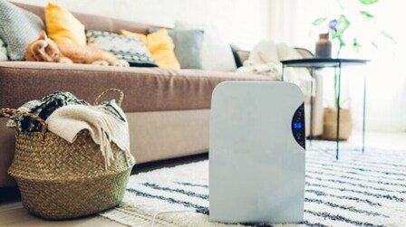 6 Best Dehumidifiers for Mold of 2025