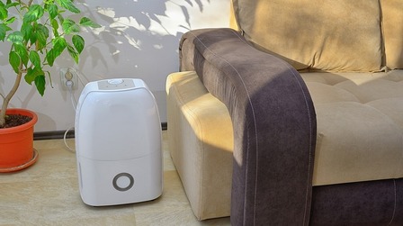 4 Best 30-Pint Dehumidifiers of 2025
