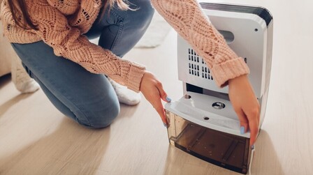 5 Best 70-Pint Dehumidifiers of 2026