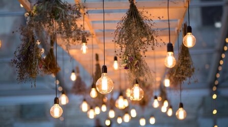 6 Best Outdoor Light Bulbs for Cold Weather of 2026