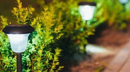 6 Brightest Solar Path Lights of 2025