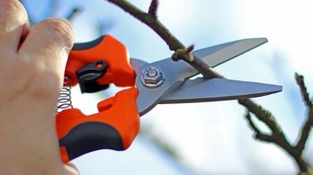 9 Best Hand Pruners of 2025