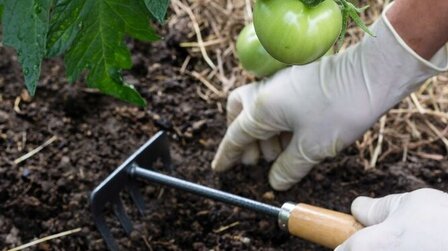 Best Mulch for Vegetable Garden of 2026: Top 6 Picks