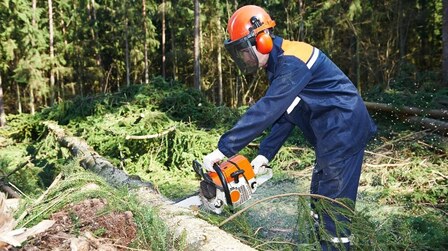 6 Best Chainsaw Helmets of 2025 6 Best Chainsaw Helmets of 2025
