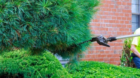 9 Best Pole Chainsaws of 2025 9 Best Pole Chainsaws of 2025