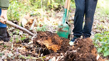 6 Best Cheap Post Hole Diggers of 2026 6 Best Cheap Post Hole Diggers of 2026