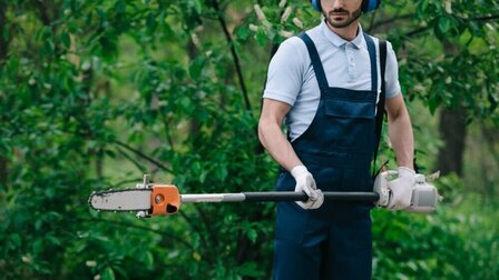 6 Best Cordless Pole Saws of 2025 6 Best Cordless Pole Saws of 2025