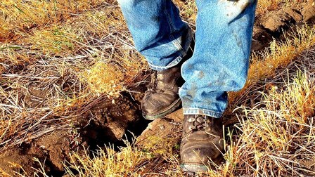 10 Best Shoes For Yard Work of 2025