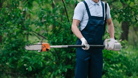 11 Best Long Pole Saws of 2026