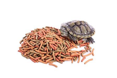 Best Turtle Food For Red-Eared Sliders of 2025: Top 6 Picks