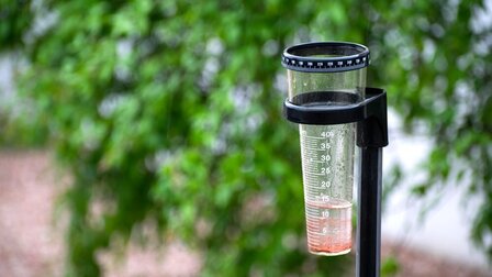 6 Best Rain Gauges of 2026