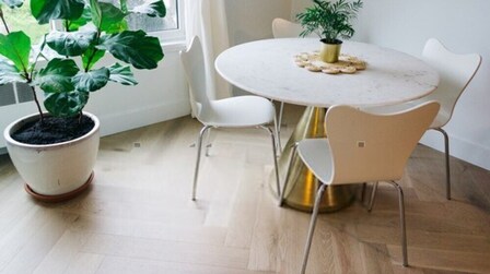 5 Best Planters For Fiddle Leaf Fig of 2026