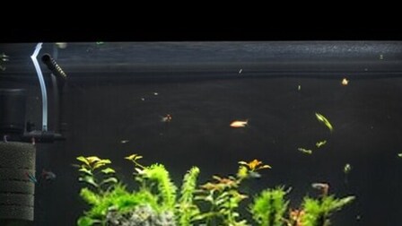 Best Aquarium Filter for Large Tanks of 2026: Top 6 Picks