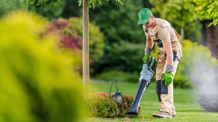 6 Best Lightweight Cordless Leaf Blowers of 2026