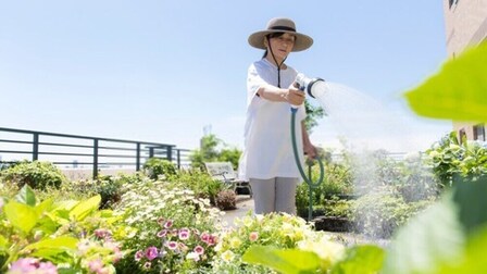 6 Most Durable Garden Hoses of 2026