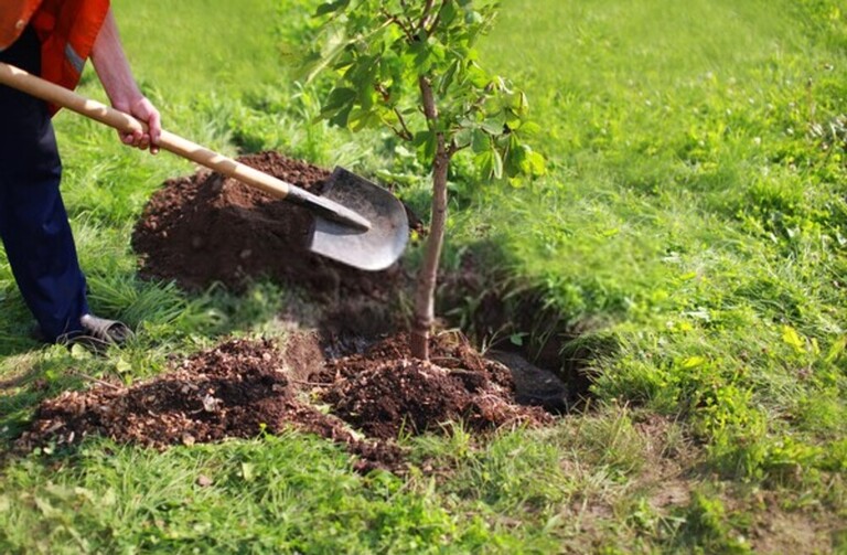 10 Cheap Ways To Burglar-Proof Home