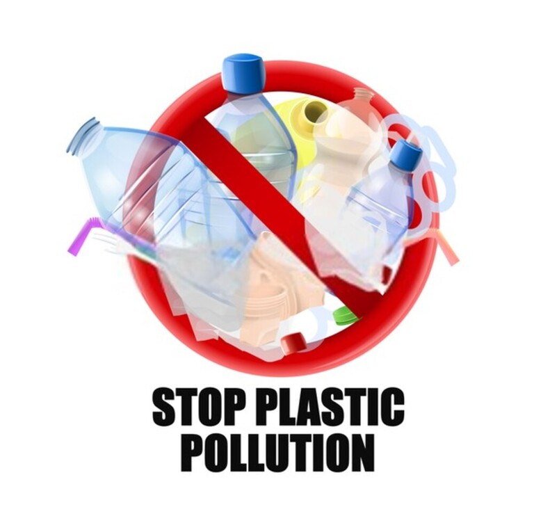 15 Tips To Make Your Home More Green