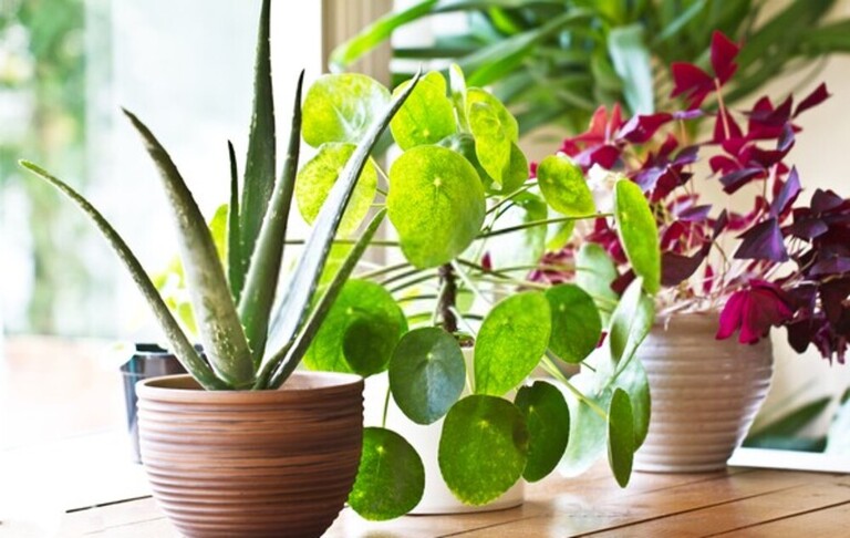 15 Tips To Make Your Home More Green