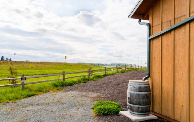 15 Tips To Make Your Home More Green