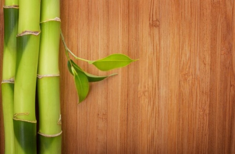 15 Tips To Make Your Home More Green